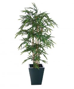 Natural Bamboo 1200mm